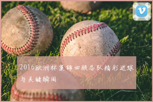 2016欧洲杯集锦回顾各队精彩进球与关键瞬间