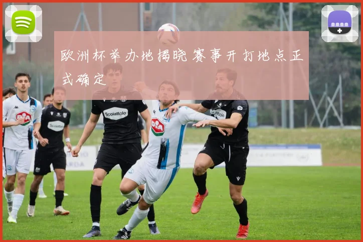 欧洲杯举办地揭晓 赛事开打地点正式确定