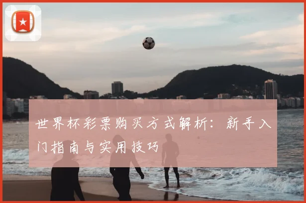 世界杯彩票购买方式解析:新手入门指南与实用技巧